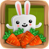Bunny Quest